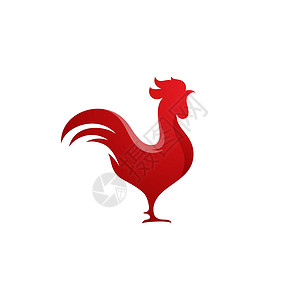 公鸡矢量 ico 的剪影卡通片动物艺术羽毛农场品牌插图男性家禽翅膀背景图片