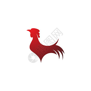 公鸡矢量 ico 的剪影翅膀男性家禽十二生肖食物羽毛动物品牌艺术标识背景图片