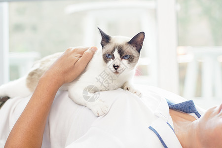 亚洲男人和老猫 躺在胸前在家高清图片