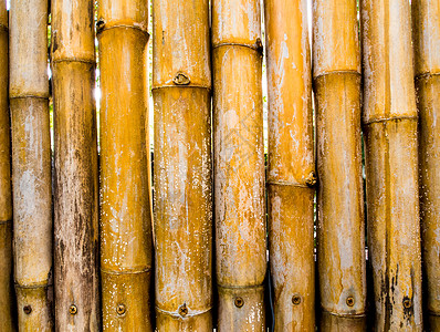 竹子天然采伐墙面装饰质感木头盘子风格黄色材料控制板木工木材棕色条纹背景图片
