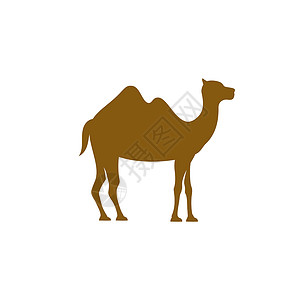 骆驼图标矢量图沙丘单峰插图白色荒野棕色运输太阳野生动物旅游插画