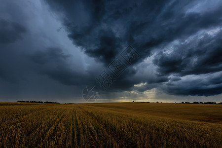 戏剧性的即将到来秋天在农业田地的黑暗风暴云中 即将到来的风暴 飓风或雷暴草地气旋气象场景地平线危险天空场地气候暴雨背景