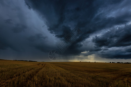 秋天在农业田地的黑暗风暴云中 即将到来的风暴 飓风或雷暴风光戏剧性危险环境地平线气象草地极端田园暴雨背景