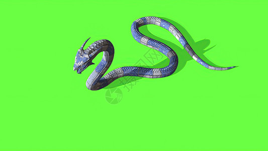 3d 插图  绿色屏幕上的蛇  背景宠物皇家镜头动物夹子情调攻击野生动物眼睛白色背景图片
