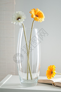 玻璃花花瓶花瓶风格色调货架背景图片