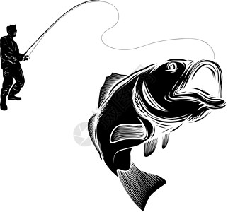 派克鲈鱼矢量它制作图案的剪影渔夫捕捉 fis插画