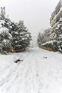 欧洲希腊首府雅典市雪暴期间 在Vrilisisia区完全铺满了积雪的公路上环境房屋城市天气低温街道景观雪花降雪树木背景图片