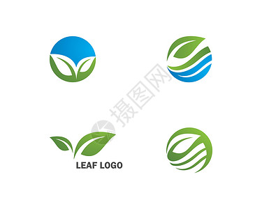 生态自然元素矢量 ico农场叶子植物商业绿色环境树叶生活热带插图背景图片