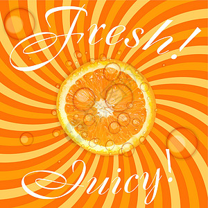 它制作图案新鲜多汁的橙色背景矢量橙子花香花朵派对酒精电脑装饰框架食品叶子背景图片