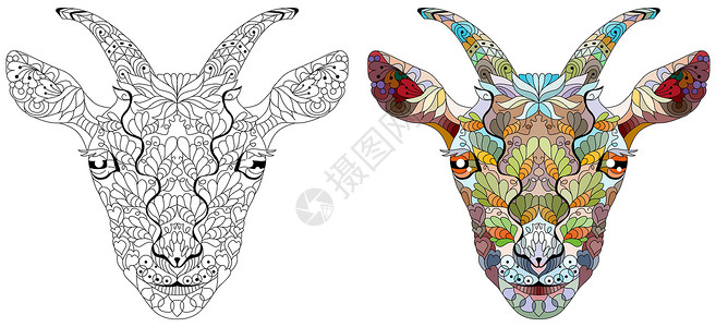 Zentangle 山羊头 手绘装饰矢量图着色 颜色和轮廓系列插画