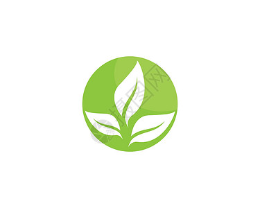 绿叶生态自然元素环境植物插图树叶绿色生长农场叶子生物商业背景图片