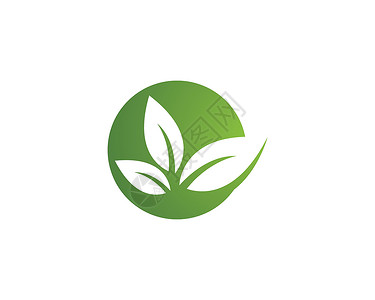 树叶矢量标志设计商业插图生态生物生长绿色标识植物环境背景图片