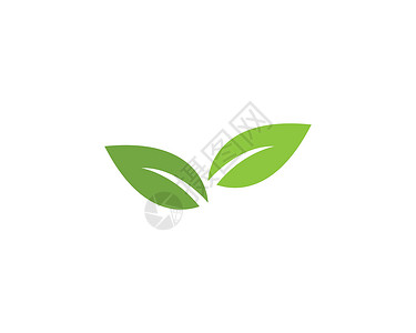 叶标志模板生长标识插图生物生态绿色环境商业树叶植物背景图片