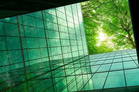 携手共植环保树字体现代城市中的环保建筑 带叶子的绿色树枝和可持续的玻璃建筑 用于减少热量和二氧化碳 办公楼绿化环境 去绿色概念商业呼吸花园办公室植背景