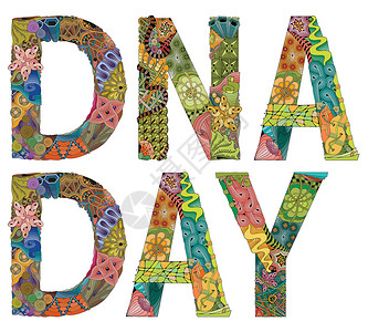 单词 DNA 日 用于装饰的矢量装饰 zentangle 对象背景图片