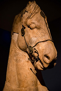 大英博物馆的马头雕像高清图片