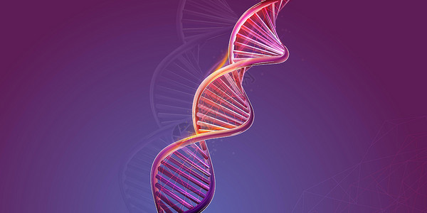 生物糖胶紫色背景上的DNA双螺旋结构卫生化学科学基因生物染色体药品保健细胞测试设计图片
