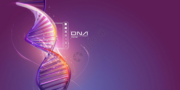 紫色背景上的DNA双螺旋结构卫生核酸染色体药品测试图表基因组细胞显示器保健背景图片
