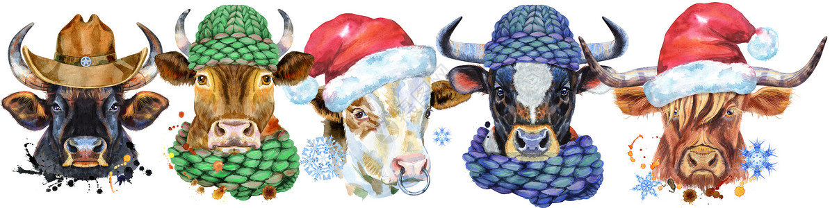 可牛边框素材用于装饰的公牛水彩肖像的边框插图家畜农业边界牛仔动物蒸汽领结卡片帽子背景