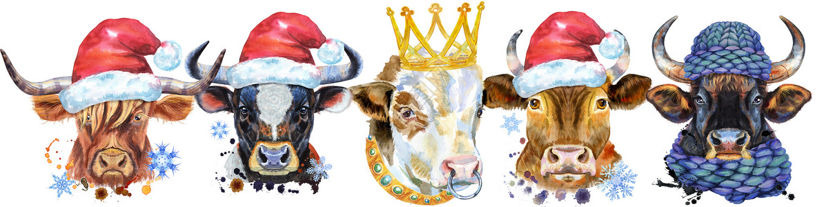 动物装饰边框用于装饰的公牛水彩肖像的边框食物艺术插图工作室边界奶制品牛奶奶牛围巾绘画背景