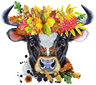 秋叶花环上有白点的黑牛水彩画高清图片