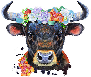 freesi 花圈中黑色强大公牛的水彩插图背景图片