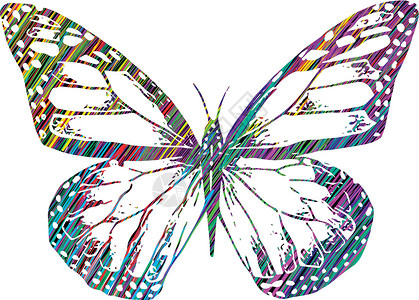 彩蝶小品动物野生动物翅膀插图君主艺术昆虫草图标识绘画背景图片