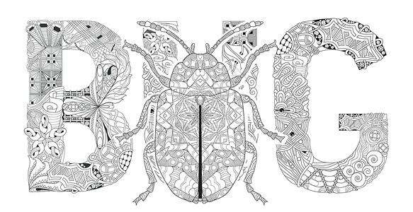 用甲虫剪影着色的 Word BUG 矢量装饰 zentangle 对象背景图片