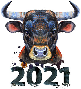 编号为 202 的黑色强大公牛的水彩插图牛奶家畜绘画工作室卡片奶牛艺术食物动物农场背景图片