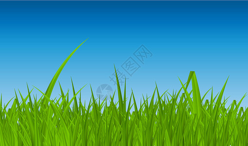 与草的夏天抽象背景 矢量插图天空活力生态柔软度圆圈草地阳光技术镜片郁金香背景图片