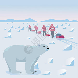 南极海Arcti远征插画