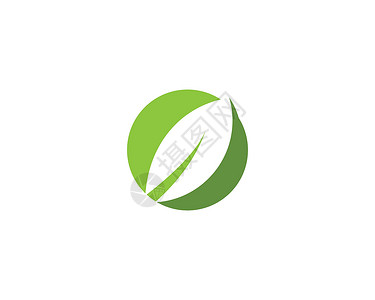 叶标志模板植物生物环境插图标识树叶商业生态绿色生长背景图片