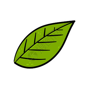 手绘绿叶矢量植物学生态插图叶子绿色绘画热带环境背景图片