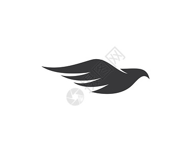 猎鹰鹰鸟标志模板奢华公司安全飞行身份翅膀商业插图徽章孔雀背景图片