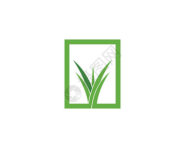 草标志 vecto环境植物治疗插图商业芦荟生长温泉生态花园背景图片