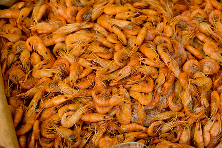 新鲜的粉红小虾 可以吃东西了 街头食品节 选择性焦点 近距离 食物背景盘子零售厨房饮食市场美食团体红色销售海鲜背景图片