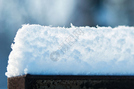 栅栏板上的雪帽太阳白色森林宏观树木新年分支机构背景图片