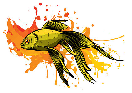 豆瓣鲫鱼制作水族馆矢量图中的鲫鱼金鱼制作图案插画
