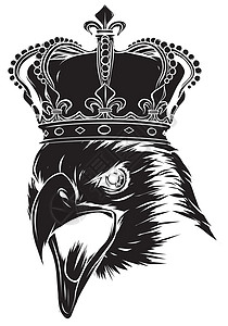 这是鹰头吉祥物矢量图鸟类动物运动羽毛国家插图猎物背景图片