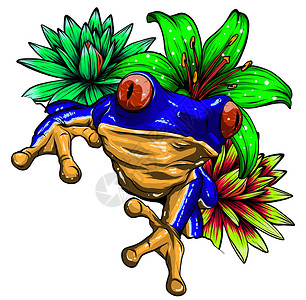 圣胡安马西亚斯彩色热带青蛙与花矢量插图图像两栖幸福野生动物旅行森林乐趣动物橙子艺术蟾蜍插画