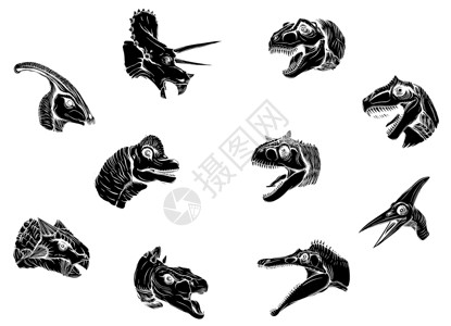 裂脚亚目一群恐龙在白色背景矢量黑色 silhouett插画