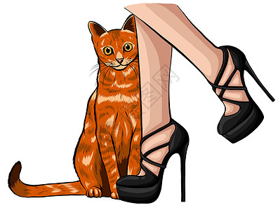 猫腿照顾无家可归的宠物概念 一只流浪猫在一名志愿者的腿上蹭来蹭去 矢量插画