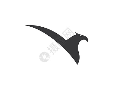 猎鹰鹰鸟标志模板公司商业身份标识力量飞行奢华徽章荣耀孔雀背景图片
