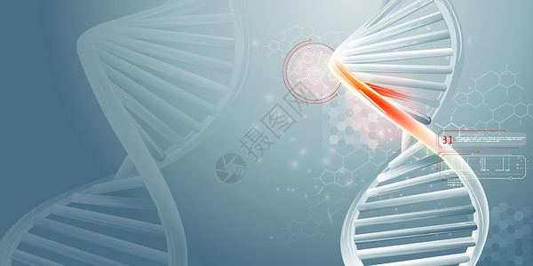 蓝色线条螺旋图DNA双螺旋线和科学数据信息图染色体基因组插图技术药品测试卫生图表生物化学设计图片