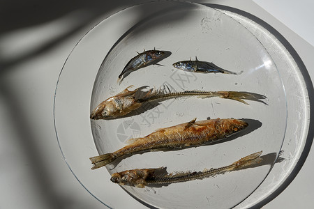 整个炸鱼熔炉和盘子上的鱼骨头食物烹饪小吃冶炼传统美食西鲱营养鲱鱼海鲜背景图片