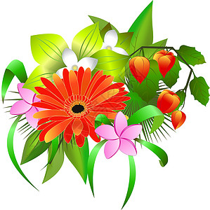 叶长茎一束不同的热带花卉在白色背景下被隔离设计图片