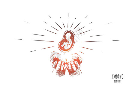 堕胎胚胎概念 手绘孤立的矢量女性怀孕铅笔母亲母性卫生保健生活安全帮助插画