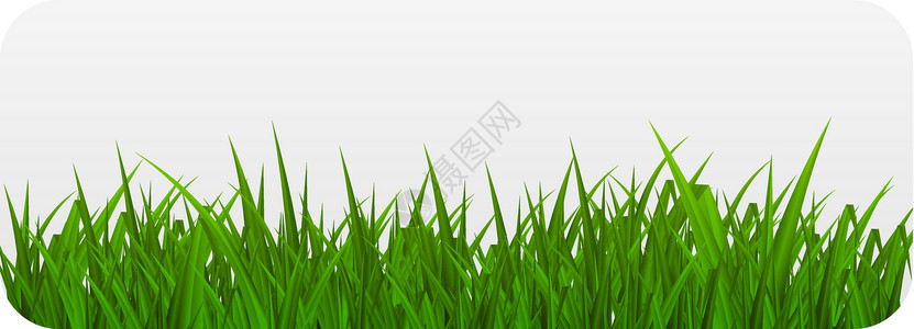 与草的夏天抽象背景 矢量插图圆圈叶子阳光草地柔软度季节活力生态墙纸技术背景图片
