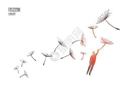 蒲公英手绘自由概念 手绘孤立的矢量插图宗教季节太阳解放福利铅笔空气冥想男人设计图片
