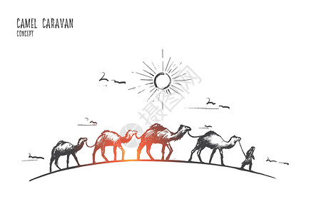 摩洛哥沙漠骆驼商队的概念 手绘孤立的矢量旅行插图运输哺乳动物晴天沙丘刻字大篷车动物冒险插画